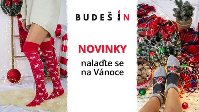 BudesIn.cz logo